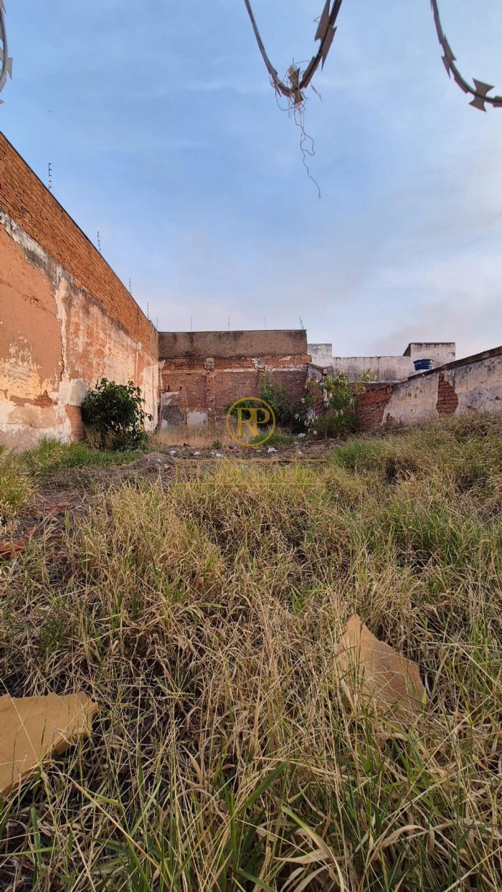 Terreno